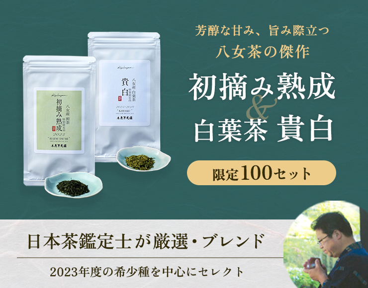 芳醇な甘み、旨み際立つ八女茶の傑作 初摘み熟成＆白葉茶 貴白 限定100セット 日本茶鑑定士が厳選・ブレンド 2023年度の希少種を中心にセレクト